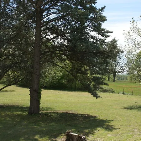 Holiday home La Forestiere Pigeonnier Monclar-de-Quercy